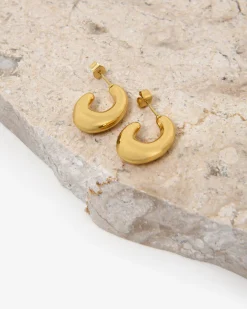 Forcast Lupita Plated Earrings Gold New