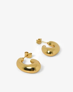 Forcast Lupita Plated Earrings Gold New
